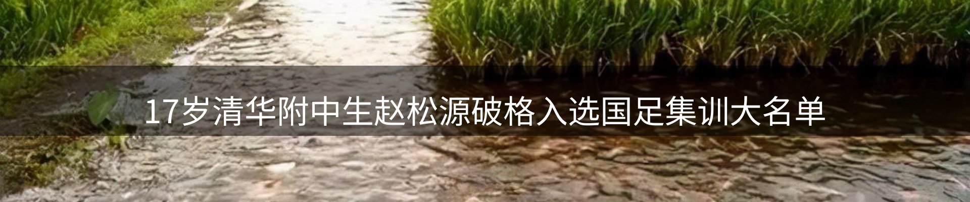 焦点窗口